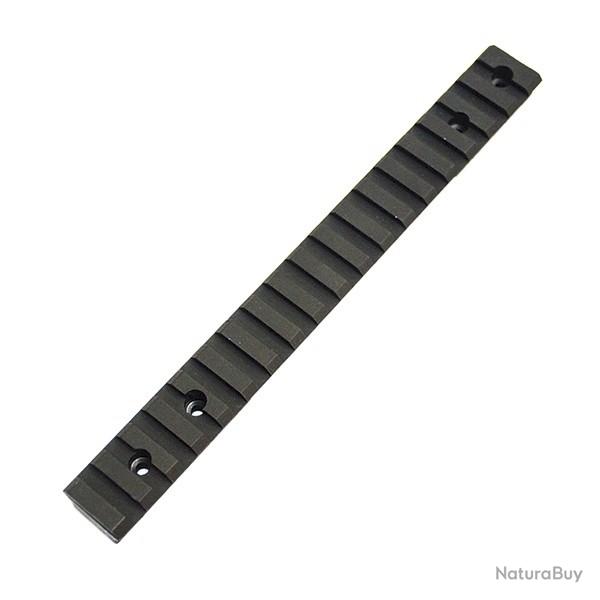 Rail et vis pour SAVAGE revel cal.22lr