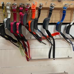Lot sportdog 11 Colliers tek 2.0 + 1 telecommande