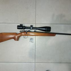 Vend ou &eacute;change carabine 22lr BSA super sport five avec lunette rifle scope 6x24-50 AOEG