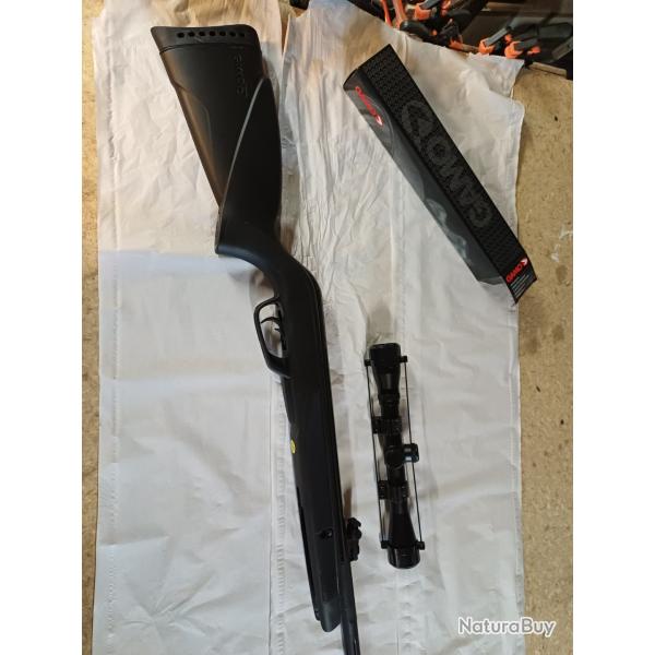 Carabine gamo pr�cision 19,9 joules