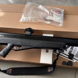 Carabine PCP Benjamin BULLDOG 357