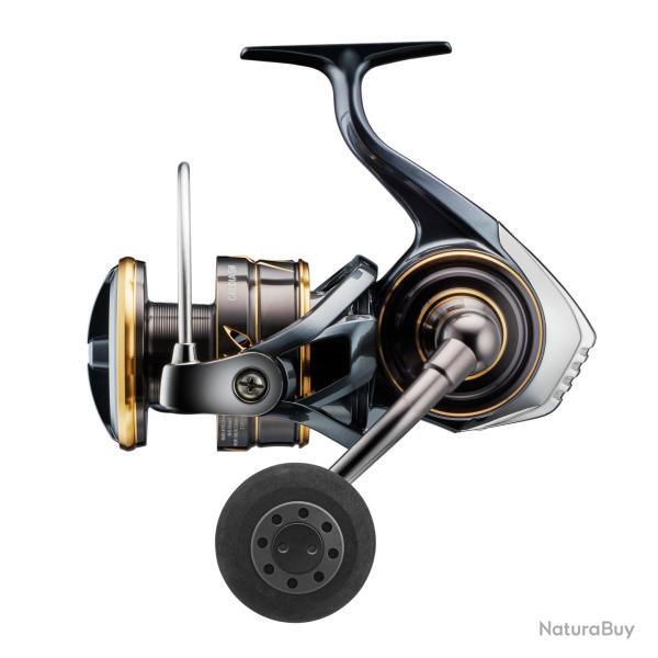 Caldia 23 SW daiwa caldia 23 sw 6000 dh