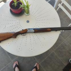 Fusil de chasse