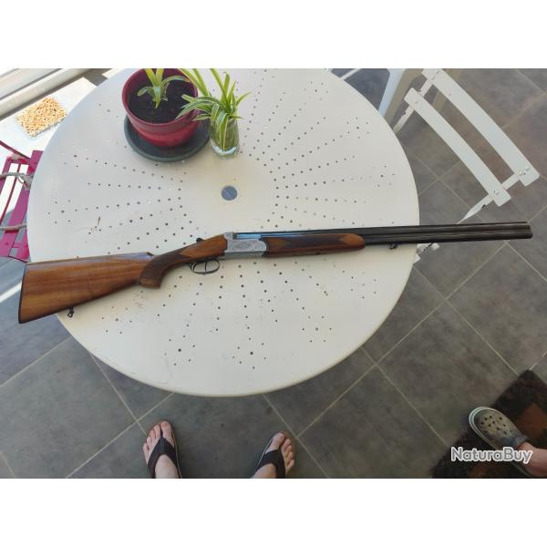 Fusil de chasse