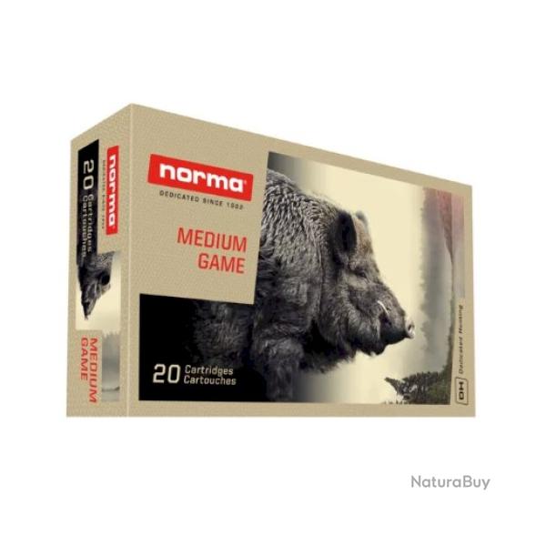 1 Boite de Balles Norma Calibre 300 win mag PPDC 180GR