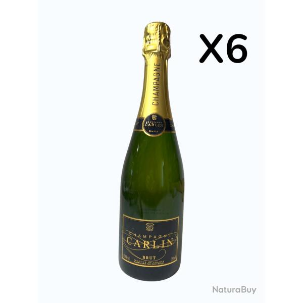 Vente flash, fin de stock, 6 bouteilles de Champagne Brut CARLIN, fin de stock - Livraison gratuite