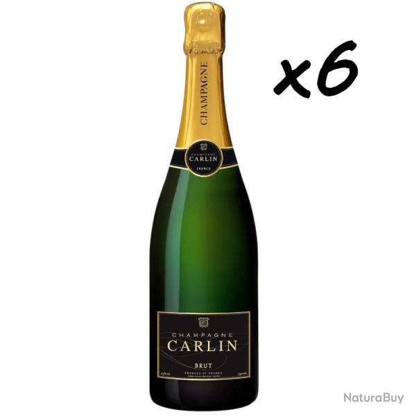 Vente flash, fin de stock, 6 bouteilles de Champagne Brut CARLIN, fin de stock - Livraison gratuite