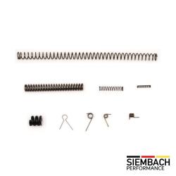 Kit de ressorts haute performance pour Smith & Wesson Mod&egrave;le 41 - Siembach Performance