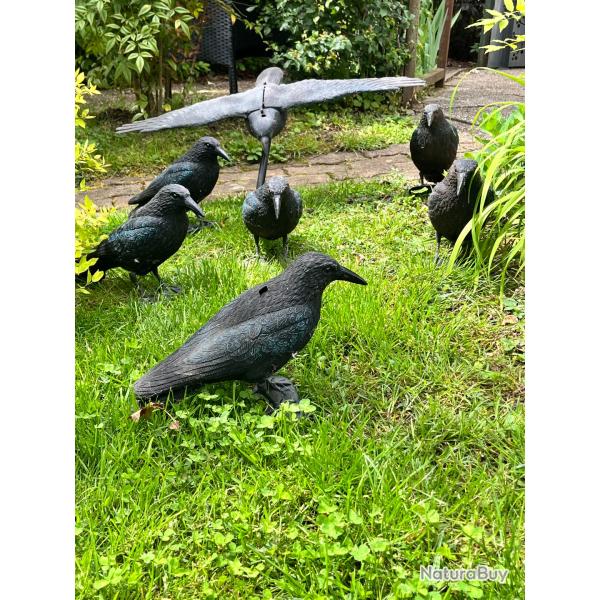 Forme Corbeau