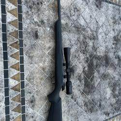 Carabine 17 HMR Tikka + lunette Schmidt et Bender