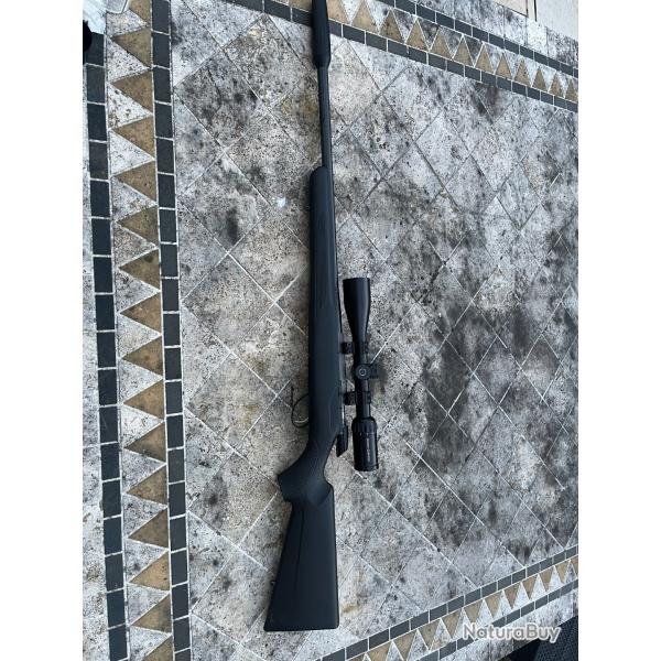 Carabine 17 HMR Tikka + lunette Schmidt et Bender