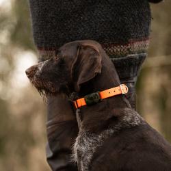 MiniFinder Vexo, traceur GPS pour chien de chasse