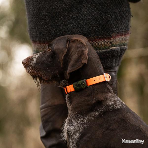 MiniFinder Vexo, traceur GPS pour chien de chasse