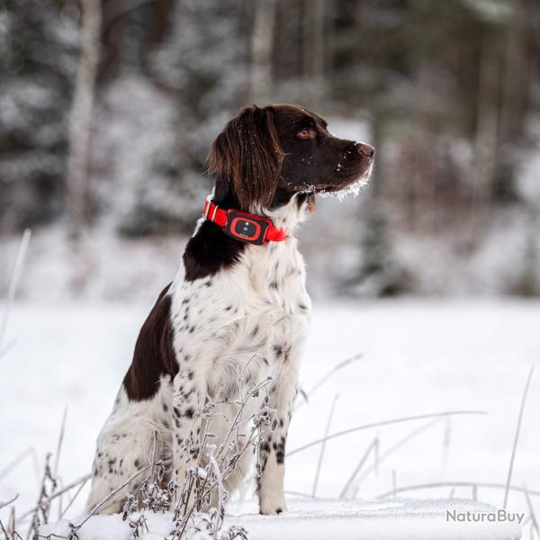 MiniFinder Rex, traceur GPS pour chien de chasse