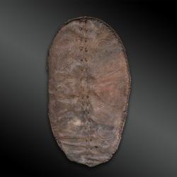 BOUCLIER - Culture Chaga, Tanzanie - Premi&egrave;re moiti&eacute; du XX&egrave;me si&egrave;cle