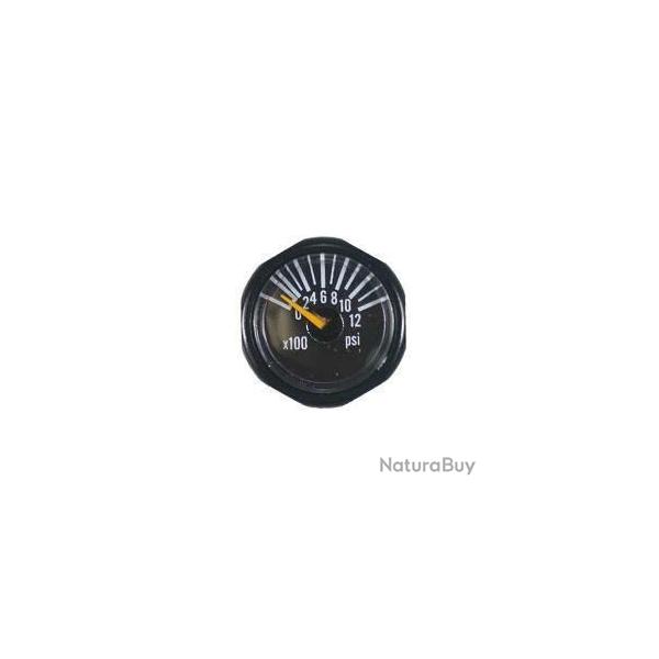 Micro Gauge 1200 PSI Invert