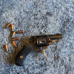 Puppy 22 short