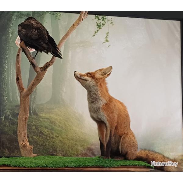 RENARD et CORBEAU NATURALIS�S