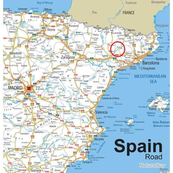 LAPINS DE GARENNE / CATALOGNE.