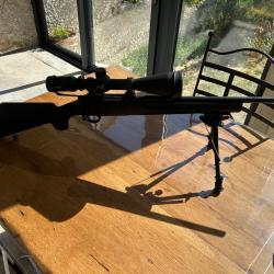 Sabatti rover 243 win + lunette Night force SHV 5-20 x 56 + bipied.