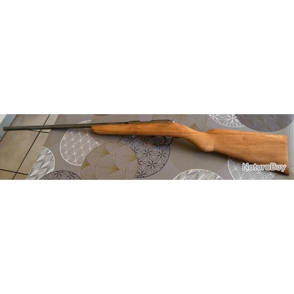 Carabine de jardin