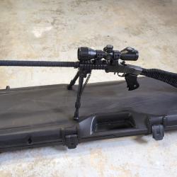 Chiappa Little Badger Cal.22lr