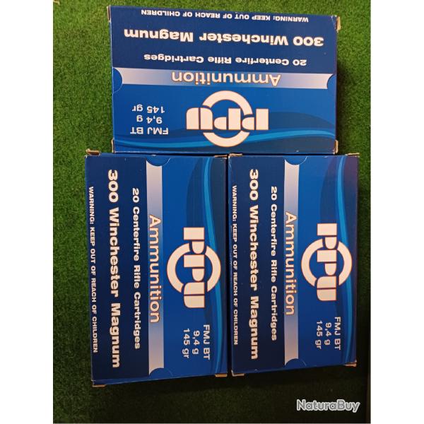 60 balles 300 winchester magnum 145 grains FMJ
