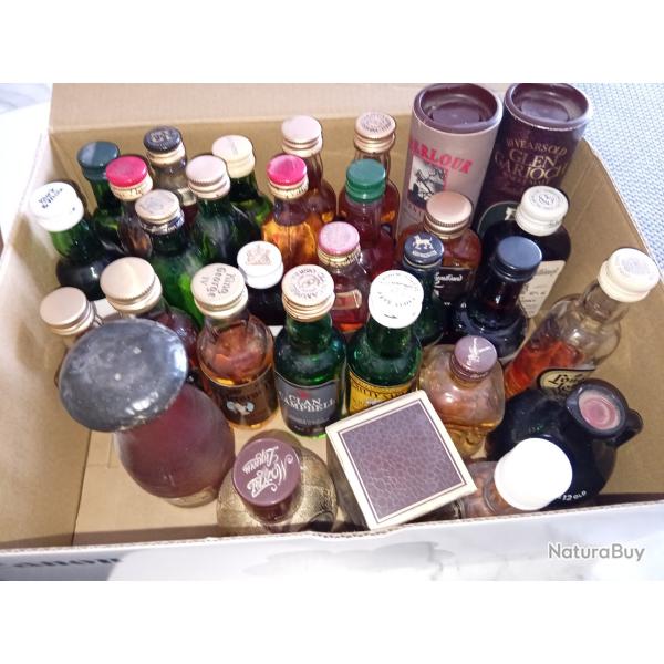 Lot Collection de mignonnettes whisky