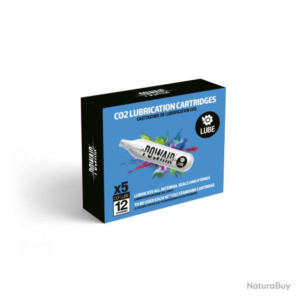 CARTOUCHES D'ENTRETIEN CO2 LUBRIFIANTE 12GR X5 - POWAIR