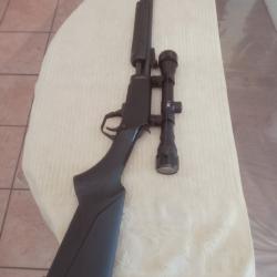 Carabine ROSSI GALLERY synth&eacute;tique 22 LR