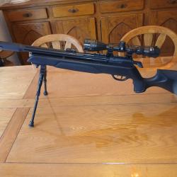 Carabine gamo arrow 4.5