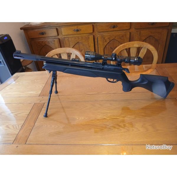 Carabine gamo arrow 4.5
