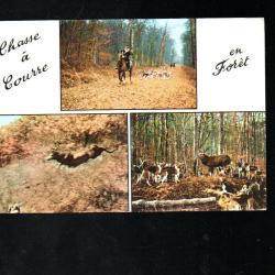 chasse &agrave; courre en foret multivues cpm