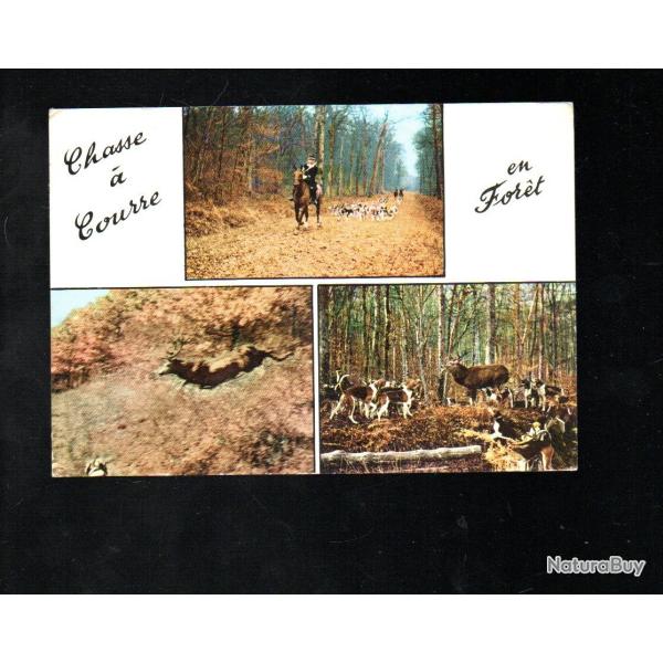 chasse � courre en foret multivues cpm