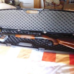 Carabine erxpress en 30.06