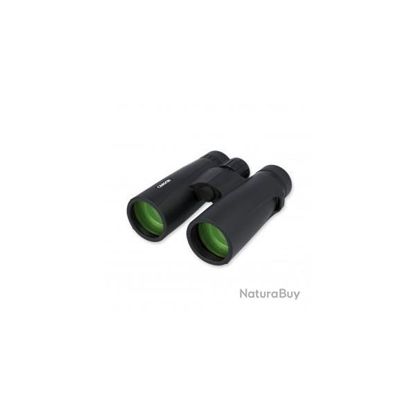 VX-042 - R�f: VX-042