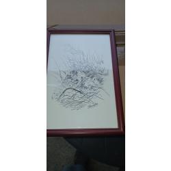Dessin Lamotte