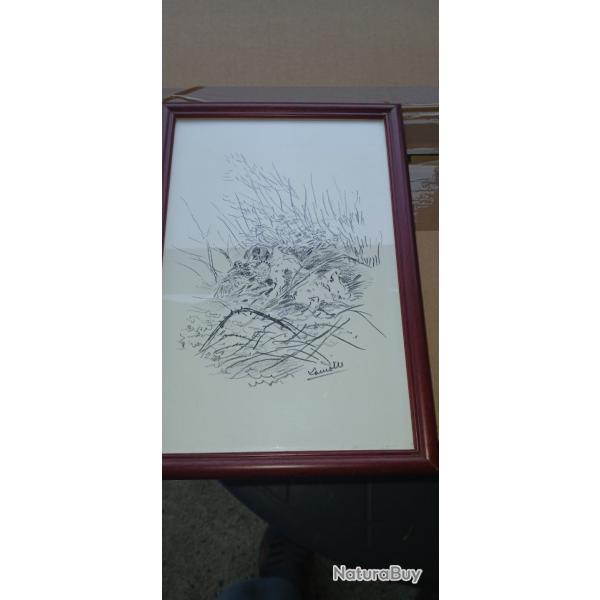 Dessin Lamotte