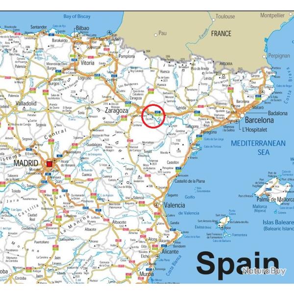 Chasse aux Vanneaux Hupp�s en Aragon / Espagne.
