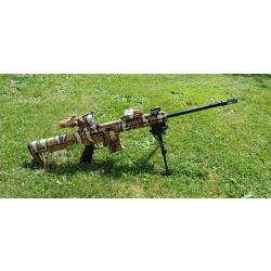 Pallas ba15 22lr