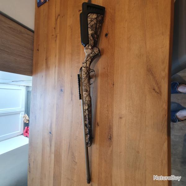 Ruger am�ricain 17 hmr