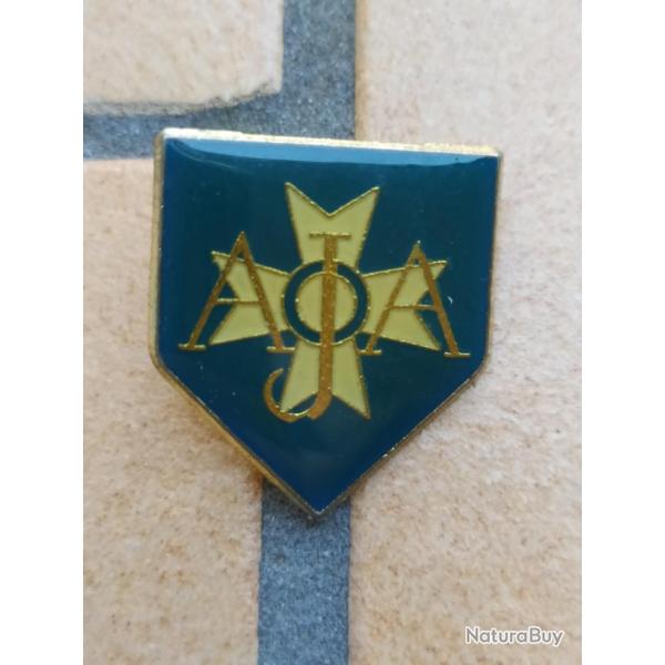 PINS BLASON CLUB FOOTBALL  A J AUXERRE