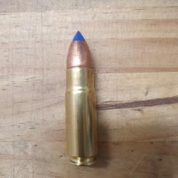 1 cartouche de 458 SOCOM