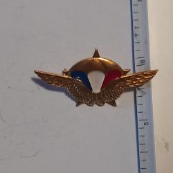 Insigne du 1er r&eacute;giment de chasseurs parachutistes (1er RCP) - Richard