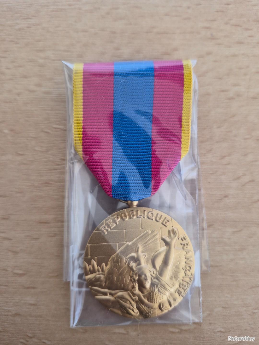 MÉDAILLE ASSEMBLÉE NATIONALE PAR DRAGO Médaille Défense Nationale Or (Drago) - Médailles, Décorations