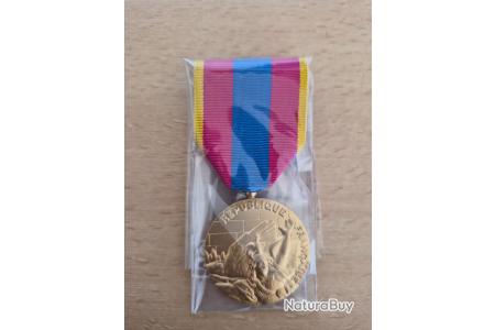 Médaille Défense Nationale Or (Drago) - Médailles, Décorations
