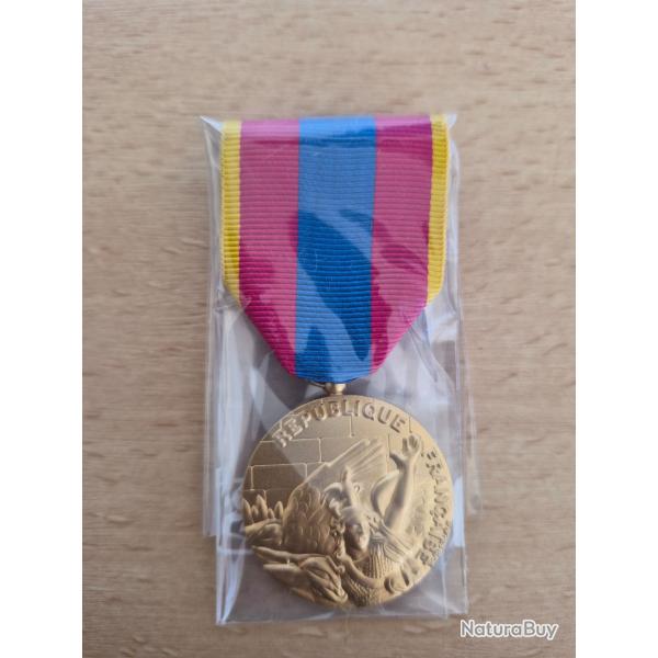 M�daille D�fense Nationale Or (Drago)