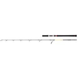 Canne Grandwave Jigging daiwa grandwave jg 562 ms os 60/120g