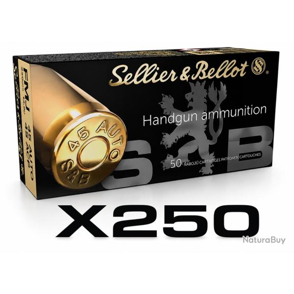 Munitions 45 Auto Sellier & Bellot FMJ 230gr par 250