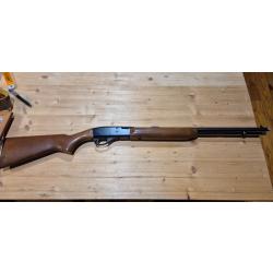 Carabine Remington 552 SpeedMaster 22LR semi auto 2+1 cat&eacute;gorie C1A #2